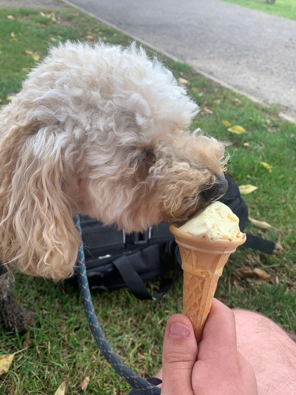 Oakley Harman eating ice cream at Horsham Rugby Club